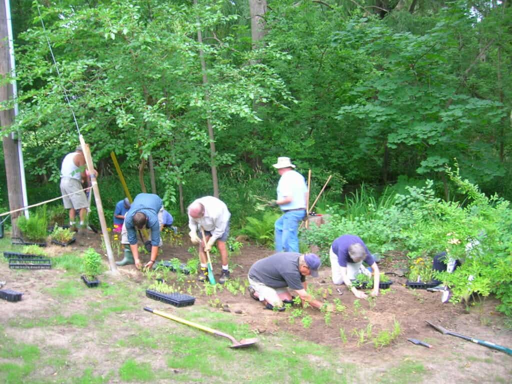 Pollinator planting by FOMC volunteers