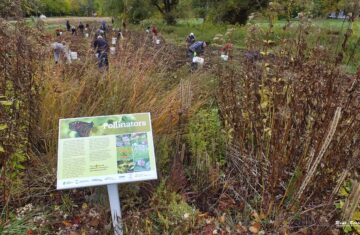 FOMC King and John Oct 24 tree planting Rene Bertschi 13