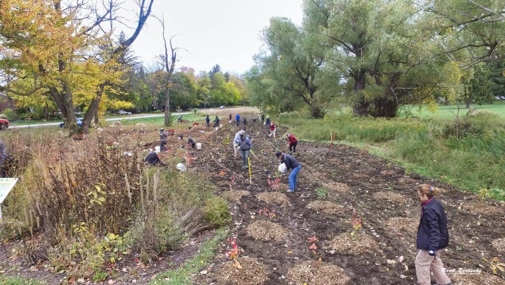 FOMC King and John Oct 24 tree planting Rene Bertschi 6