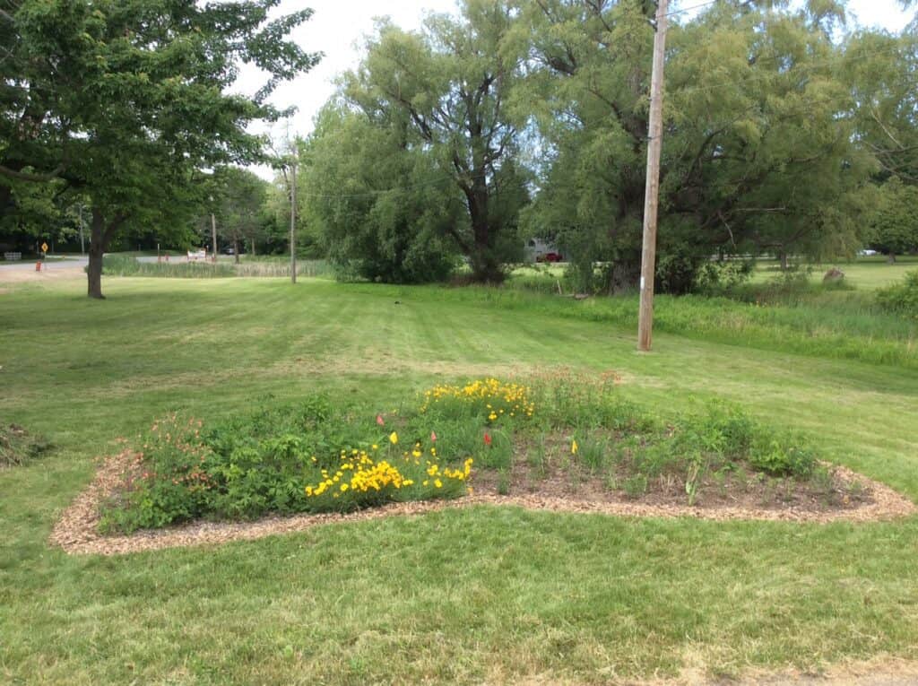 King and John pollinator garden at the beginning of the season after clean-up and mulching  in 2018.