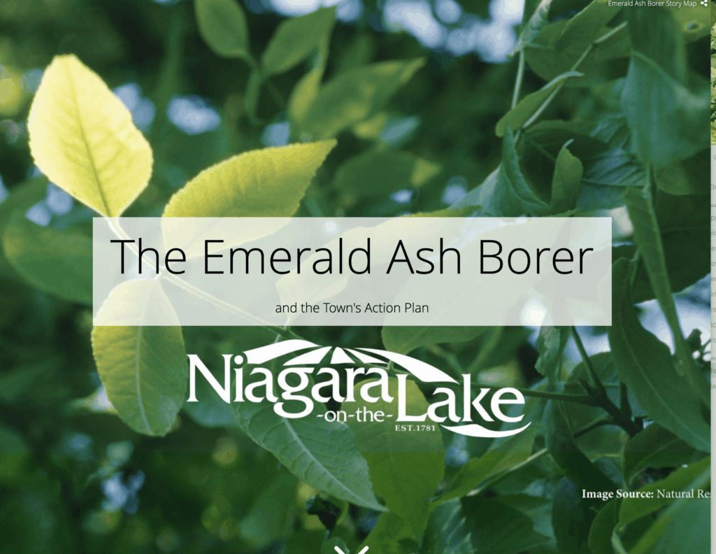 NOTL site emerald ash borer