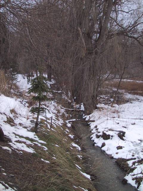 One Mile Creek winter March 2004 ne Mile Creek along Centre Street between Gate and Victoria in March 2004. 