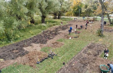 Oct 24 2020 tree planting of extended area along One Mile Creek. (Photo by René Bertschi)