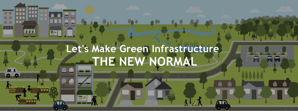 Screen Shot Green Infrastructure Coalition website grqphic