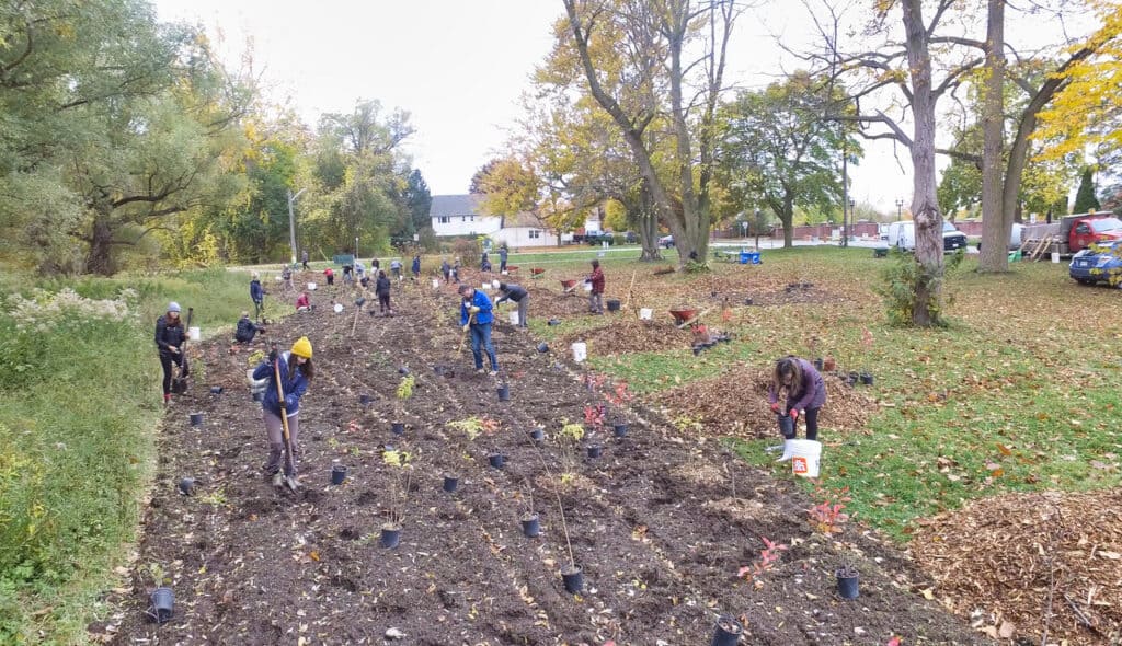 Tree planting King and John Oct 24 2020