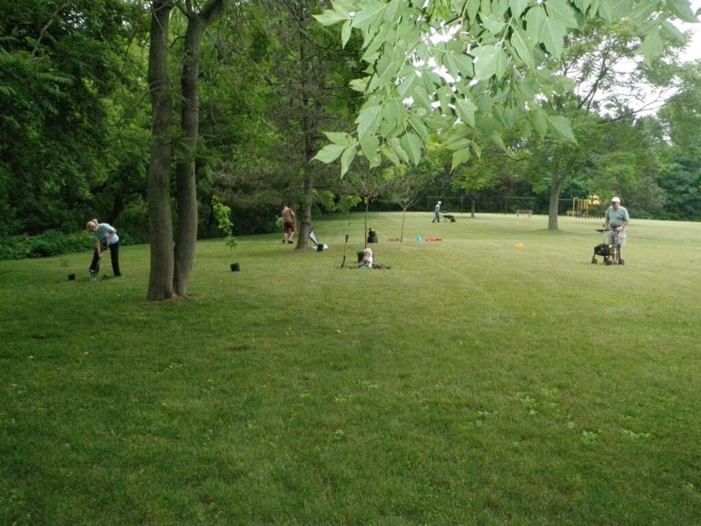 William Street tree planting in 2012.