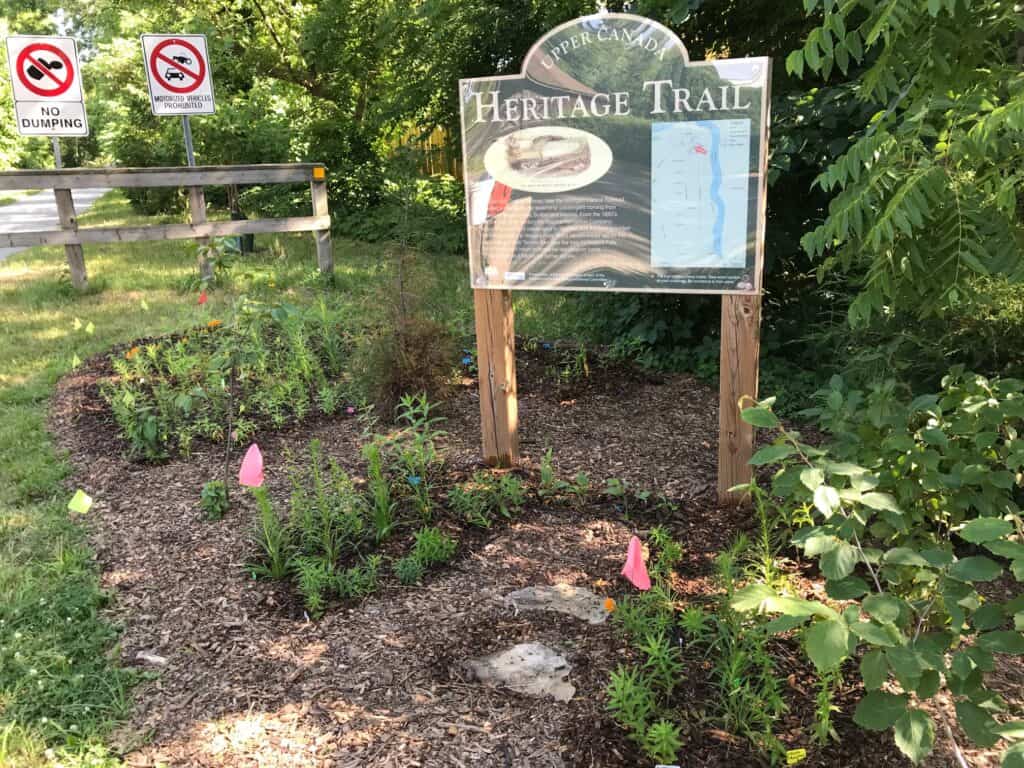 native Flowers Planted in Heritage Trail pollinator garden