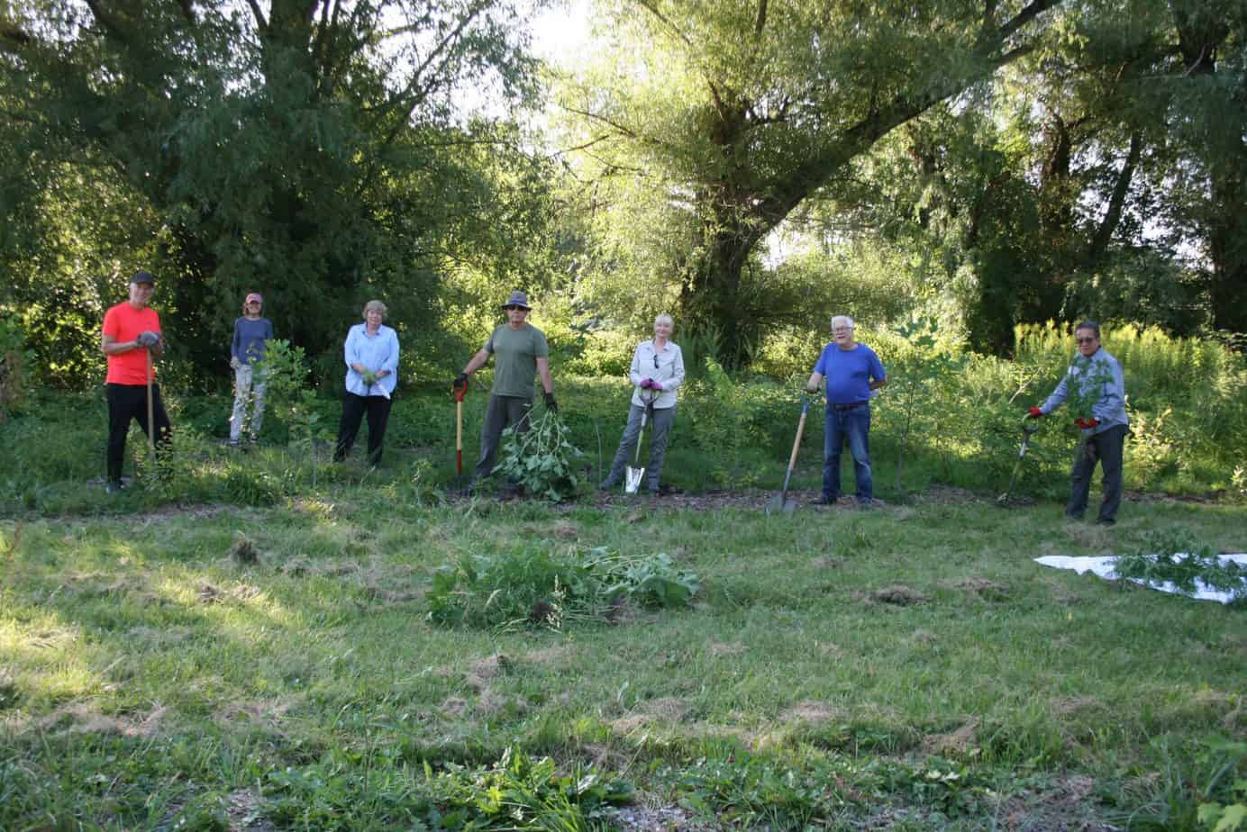 John Venables, Kathy Goulding, Beckie Fox, Viggo Zing, Klara Young-Chin, Michael Fox and Nigel Young-Chin of the Friends of One Mile Creek spent a morning doing a good weeding of the area they planted last year. (Mike Balsom)